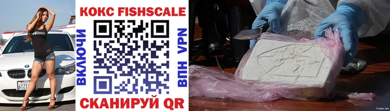 Купить закладки  Углегорск  COCAIN FishScale 