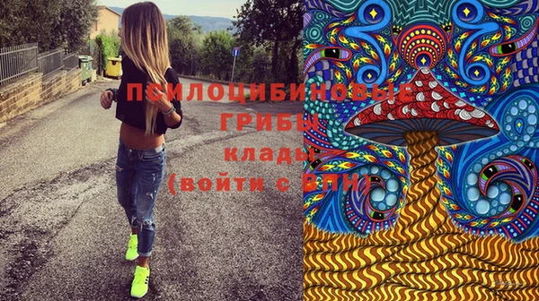 эйфоретик Касимов
