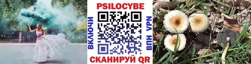 Псилоцибиновые грибы Psilocybine cubensis  Купить  Углегорск 